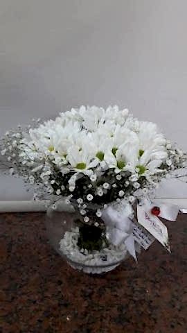 cam fanus içinde papatya