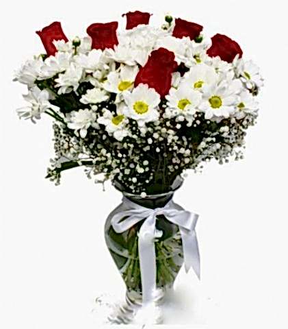 Vazoda 6 Güllü Papatya