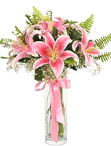 5 dal pembe lilyum Pembe Rüya