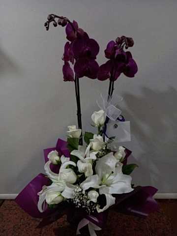 mor orkide aranjmanı