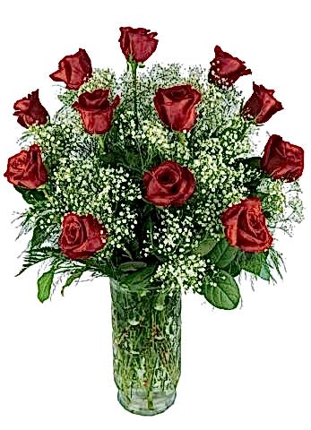 Cipsolu 12 Adet Gül