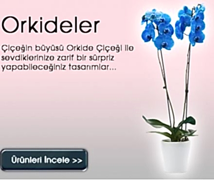 Dikkat Çeken Ürün